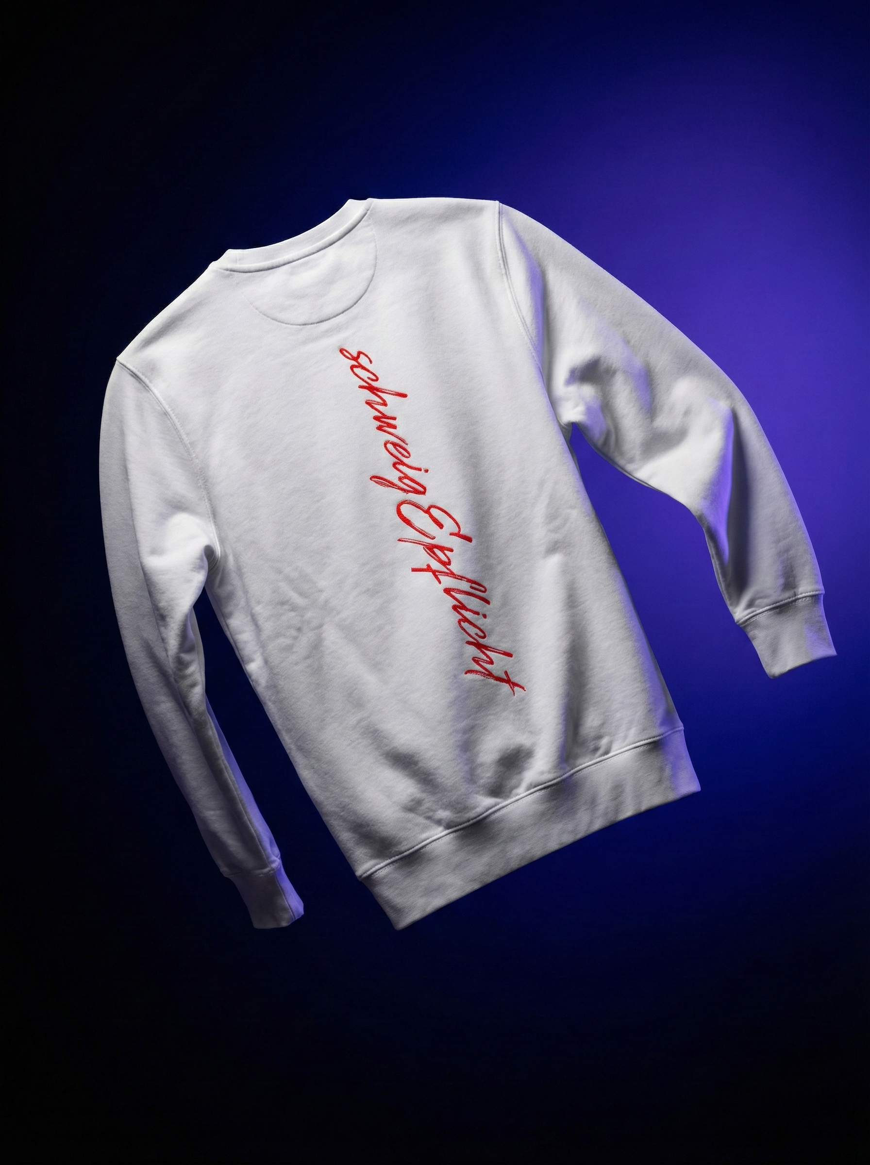 SCHWEIGEPFLICHT Premium Sweatshirt